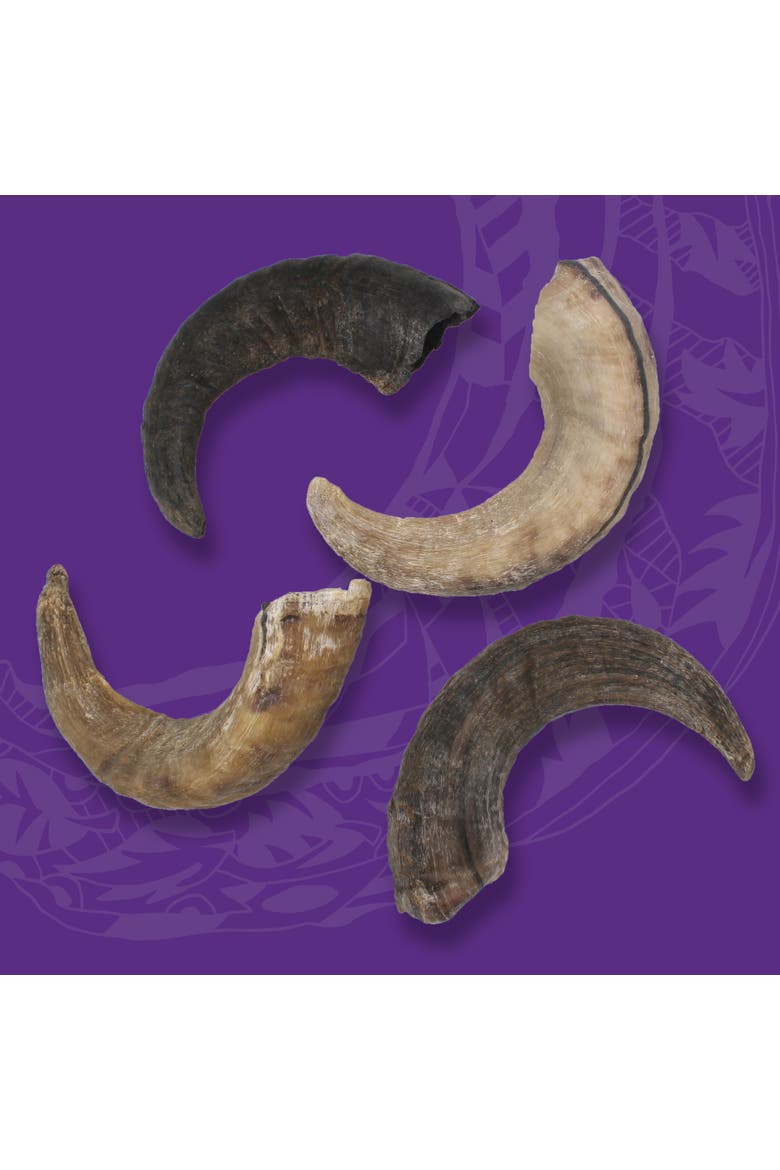 7 Inch Lamb Horn Dog Chews 12 Pack, Alternate, color, Multicolored