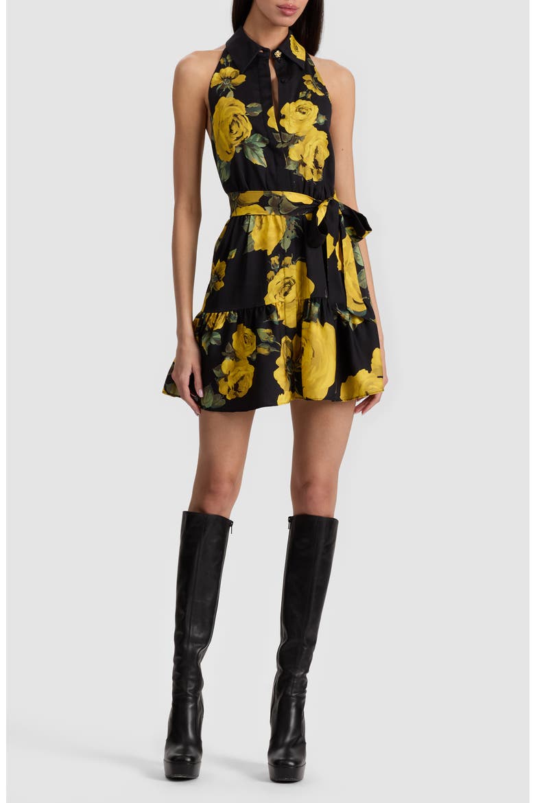 Miranda Floral Tiered Minidress, Main, color, ROSEHIPS