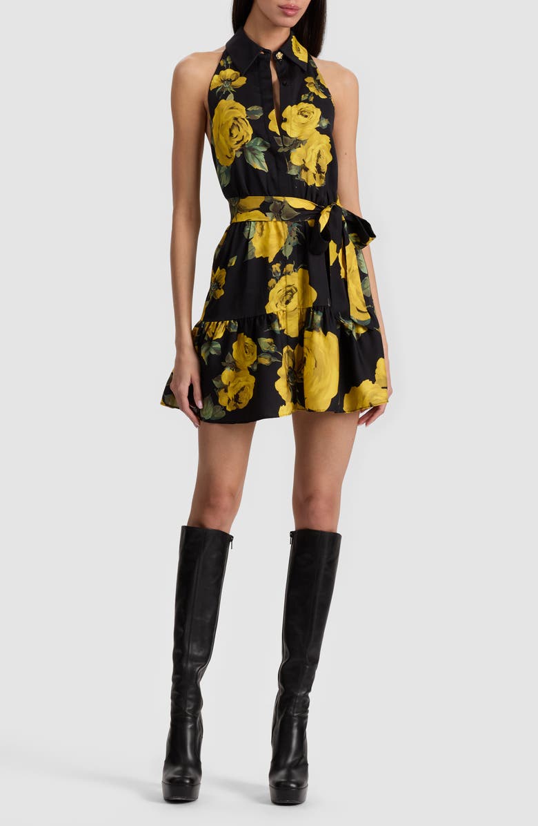 Alice + Olivia Miranda Floral Tiered Minidress, Main, color, Rosehips