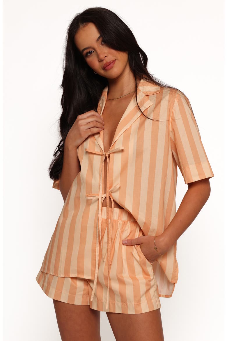 Essie Stripe Cotton Tie Front Shirt, Alternate, color, TERRACOTTA STRIPE