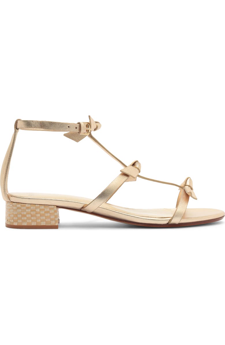 Alexandre Birman Slim Lolita Sandal, Alternate, color, Golden