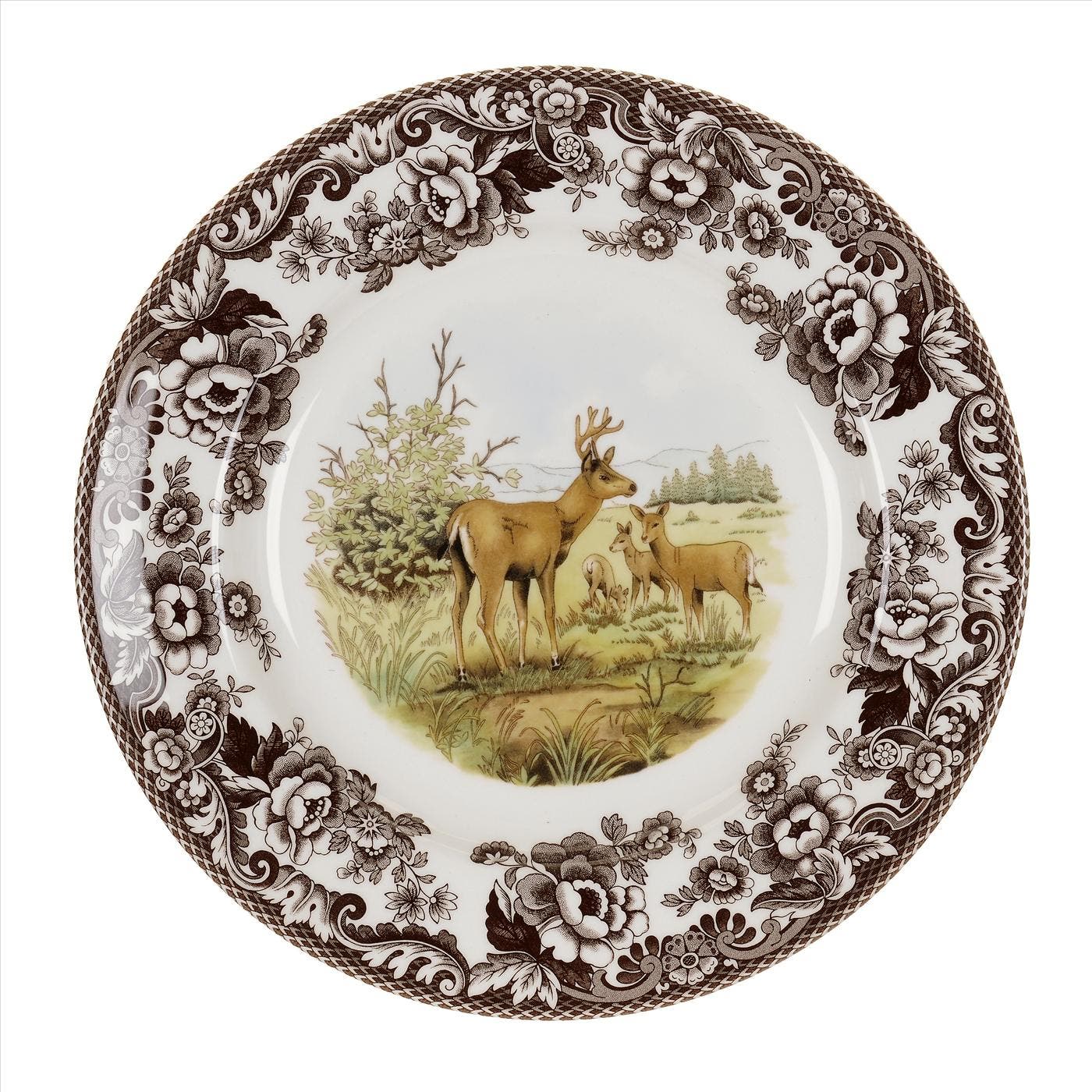Mule Deer