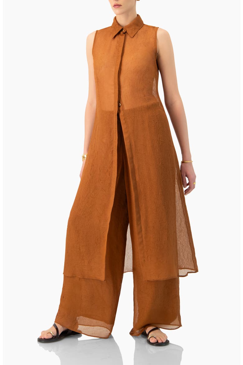 Sleeveless Collared Tunic, Alternate, color, Brown