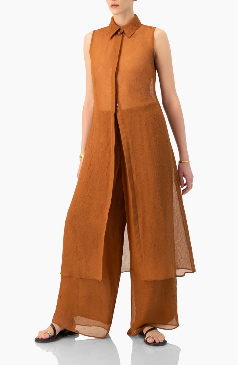 IVONNE Sleeveless Collared Tunic, Alternate, color, Brown