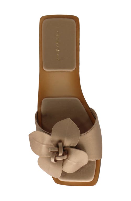 Charles David Ovum Slide Sandal In Gold