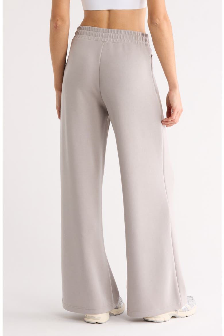 Soft Luxe Wide Leg Pants, Alternate, color, GREY EARL