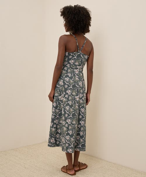 Pact Organic Cotton Fit & Flare Midi Dress In Vineyard Floral Castor Grey