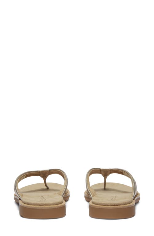 Timberland Calista Bay Flip Flop In Gold