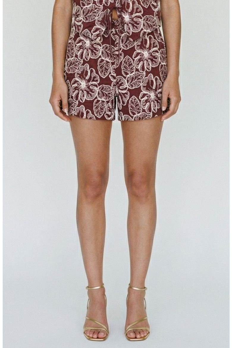 Millia Embroidered Shorts, Main, color, ANDORRA DETAILOATMEAL EMBROIDE