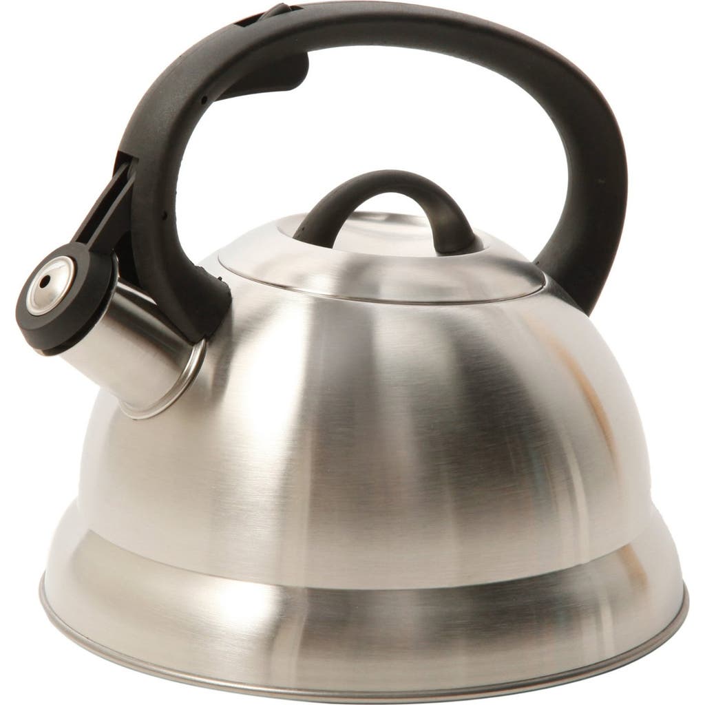 Mr Coffee Mr. Coffee Flintshire 1.75qt Stainless Steel Whistling Tea Kettle In Silver