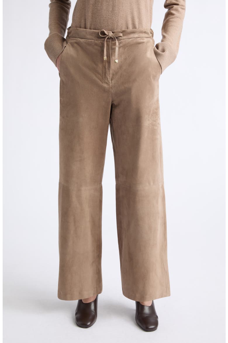 Tempio Suede Straight Leg Leather Pants, Main, color, COLONIAL