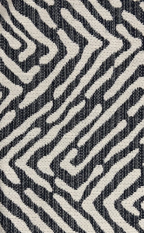 Baacal Marlo Short Moto Trench Coat In Gray