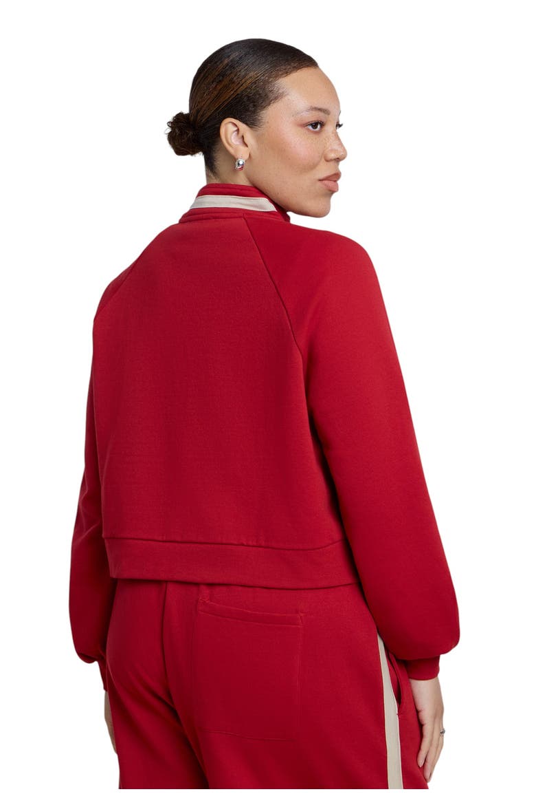 Stripe Detail Quarter Zip Sweatshirt, Alternate, color, BOLD RED