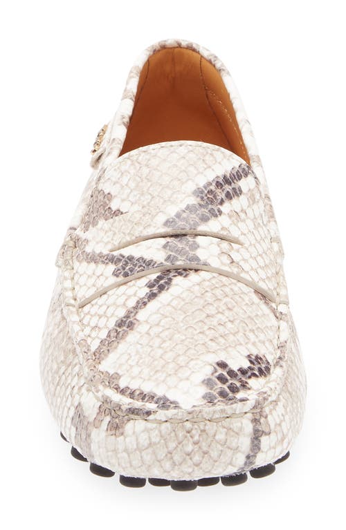 Tod's Snake-effect Leather Driving Loafers In Gray