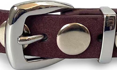 Petit Moments Disc Stud Belt In Black