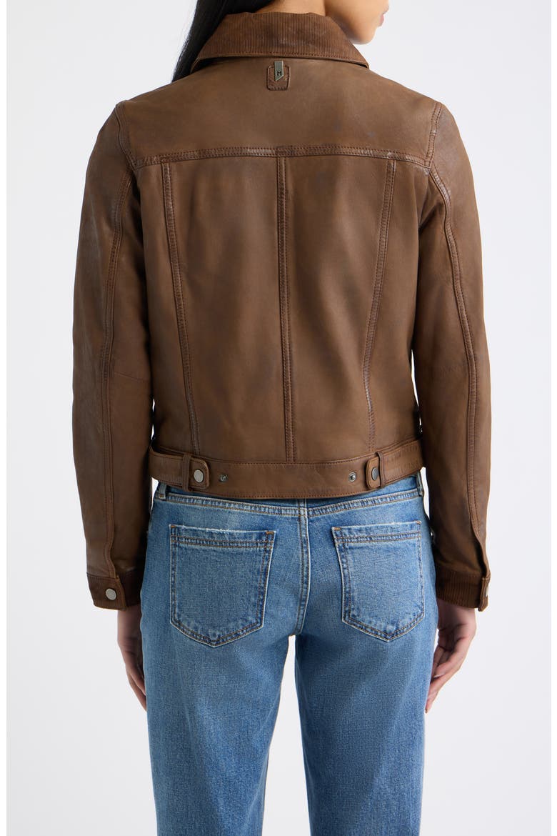 Klara Leather Jacket, Alternate, color, DARK WHISKEY