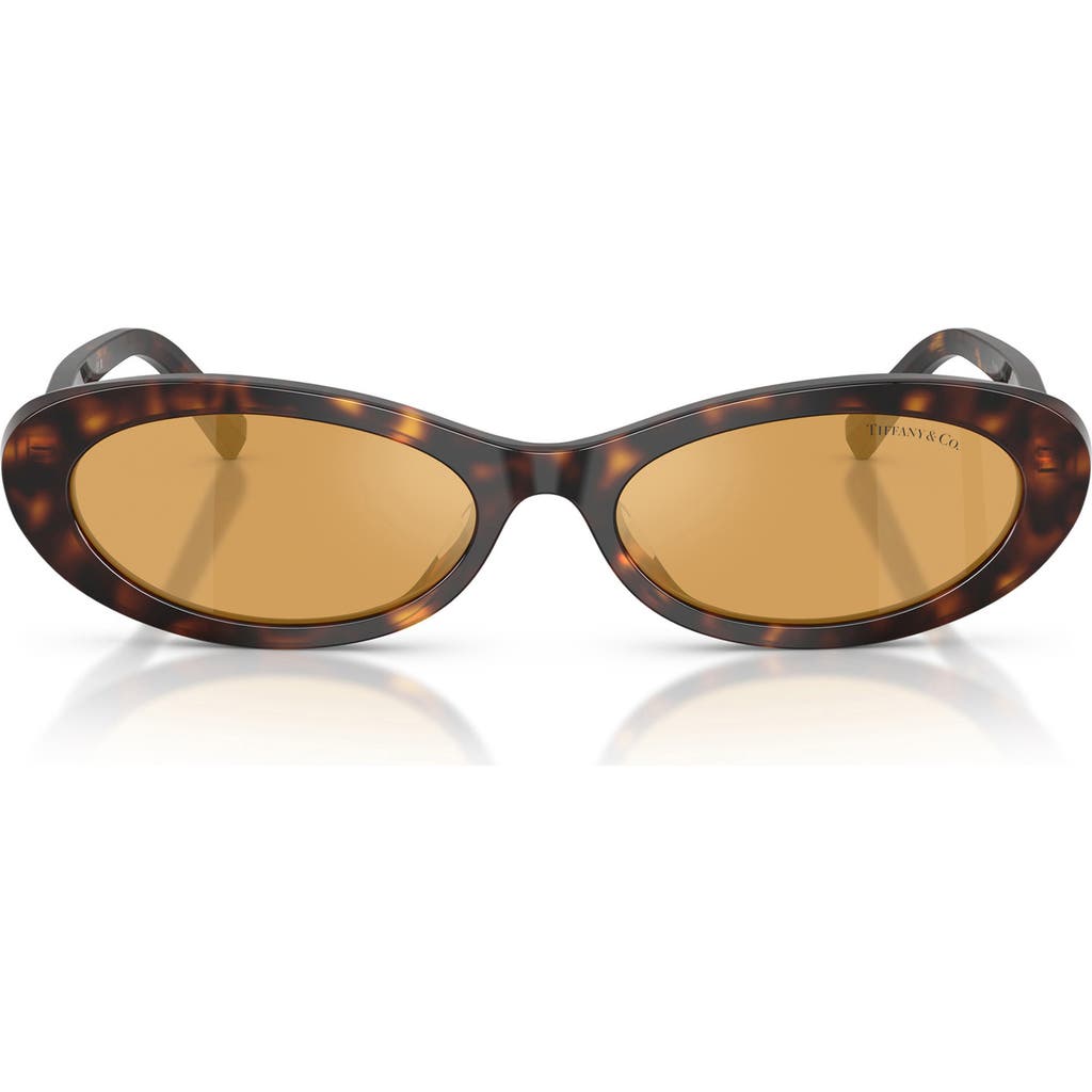 Tiffany & Co. 56mm Oval Sunglasses in Havana/orange Mirror Silver at Nordstrom