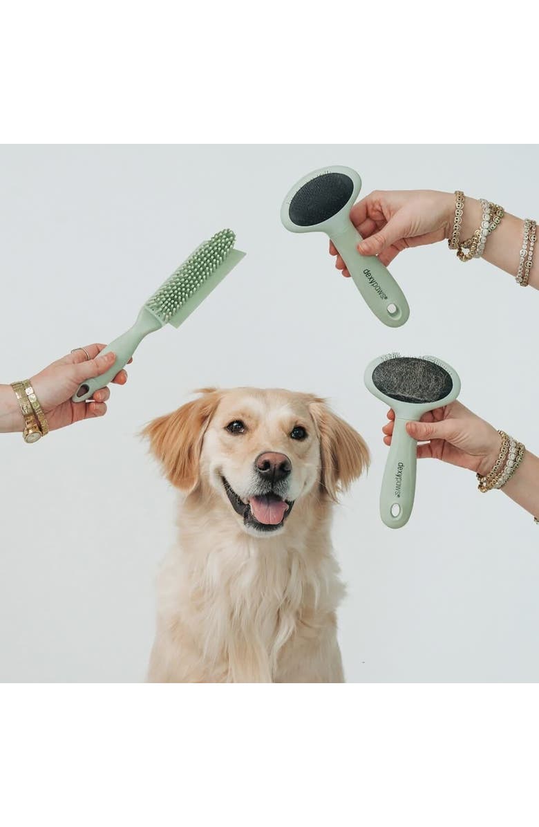 Dexypaws Slicker Brush, Small, Sage Green, Dog & Cat Grooming Tool, Alternate, color, Green