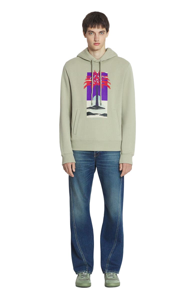 Lanvin PRINTED HOODIE, Main, color, 