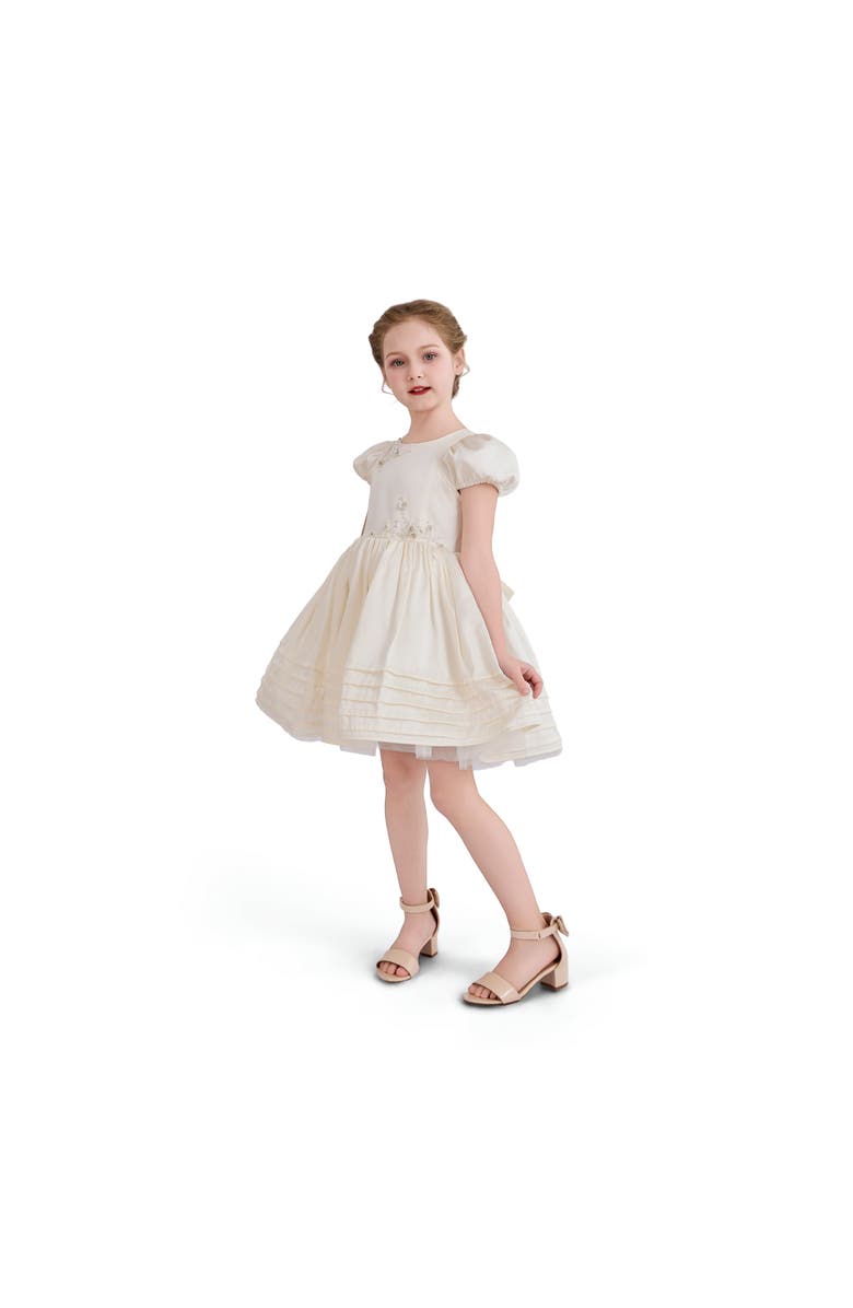 Tulleen Embroidered Pleated Dress, Alternate, color, Ivory