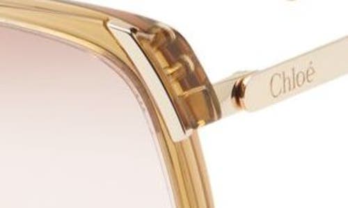 Chloé 60mm Oversize Square Sunglasses In Sand