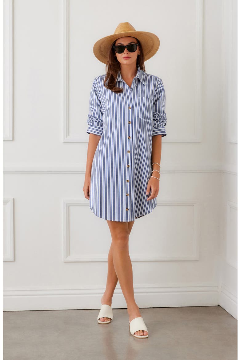Ruched Sleeve Stripe Shirtdress, Alternate, color, BLUE/WHITE