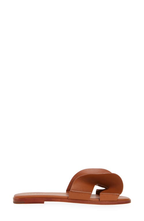 Cecelia New York Wendy Slide Sandal In Cognac