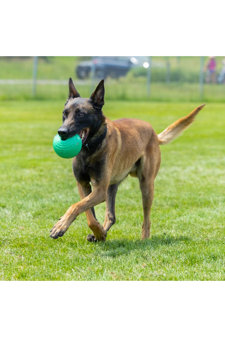 KoreFlex Ball, 4.75 Inches, Large, Green, Dog Toy, Alternate, color, Green