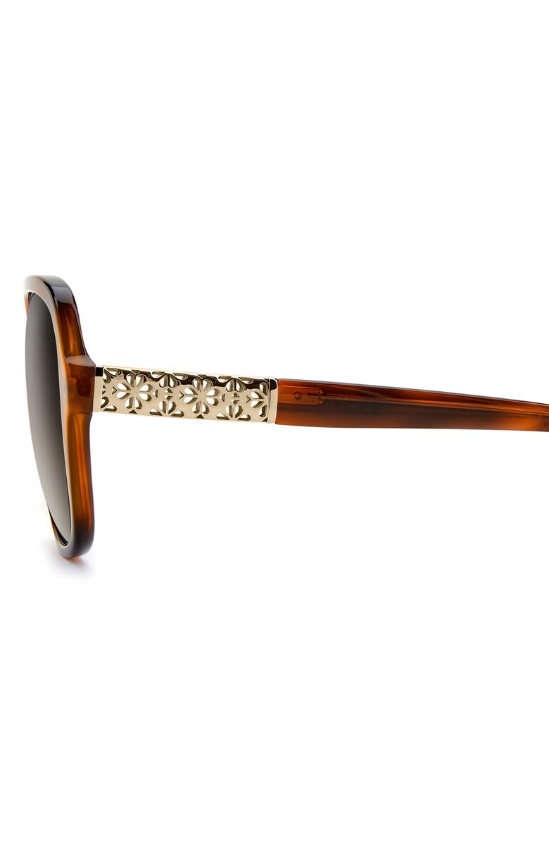 Kate Spade New York eliza 57mm gradient round sunglasses, Alternate, color, Havana/ Brown