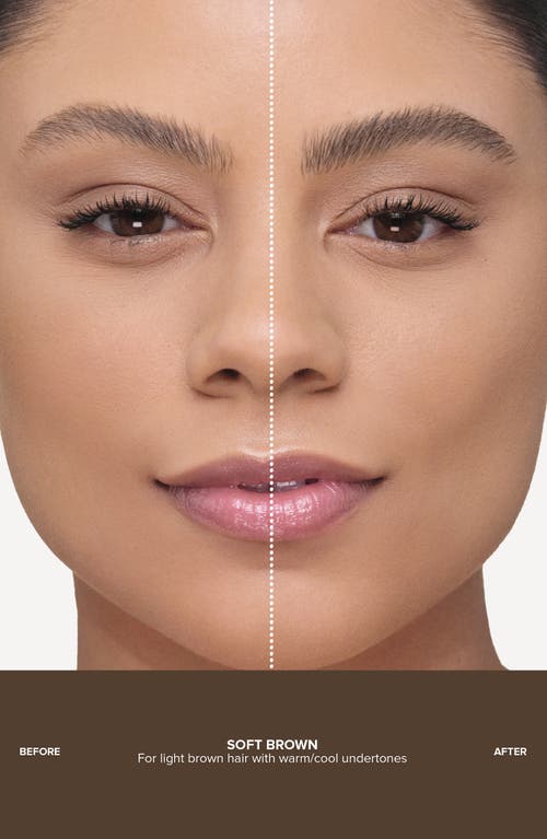 Anastasia Beverly Hills Microstroke Brow Pen In Brown