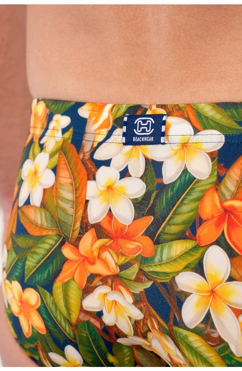 HOM Etna Swim Mini Briefs, Alternate, color, Navy Print