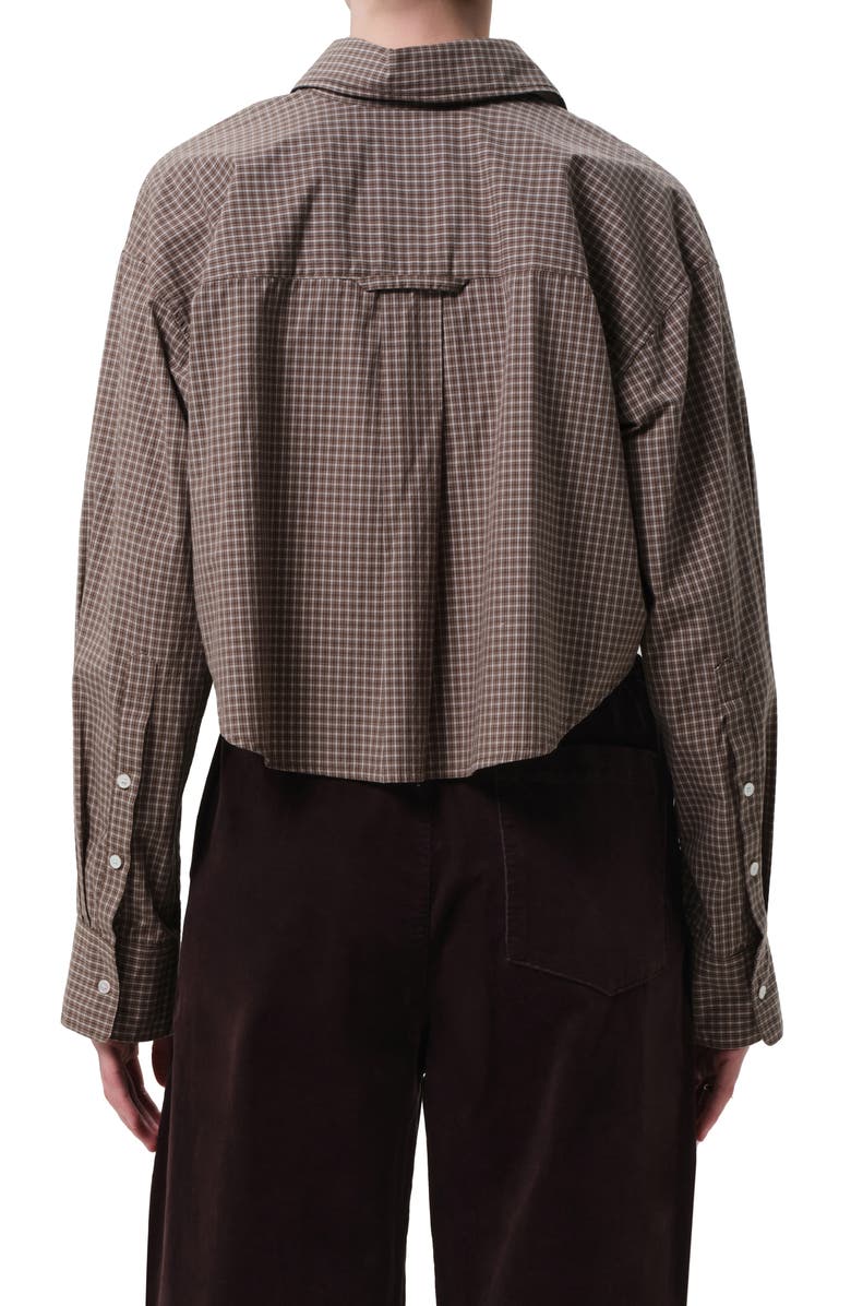 Citizens of Humanity Ana Crop Long Sleeve Button-Up Shirt, Alternate, color, Hrtage Stripe