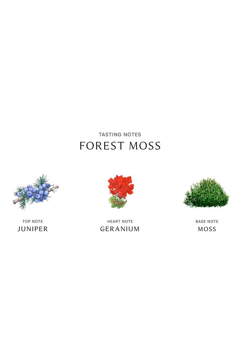 Forest Moss Cologne, Alternate, color, NO COLOR