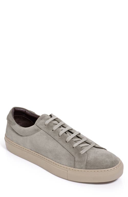 TO BOOT NEW YORK Fleetwood Suede Low Top Sneaker in Grey 