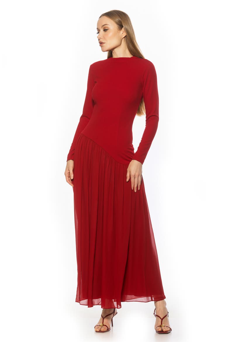 Dakota Long Sleeve Gown, Alternate, color, BURGUNDY