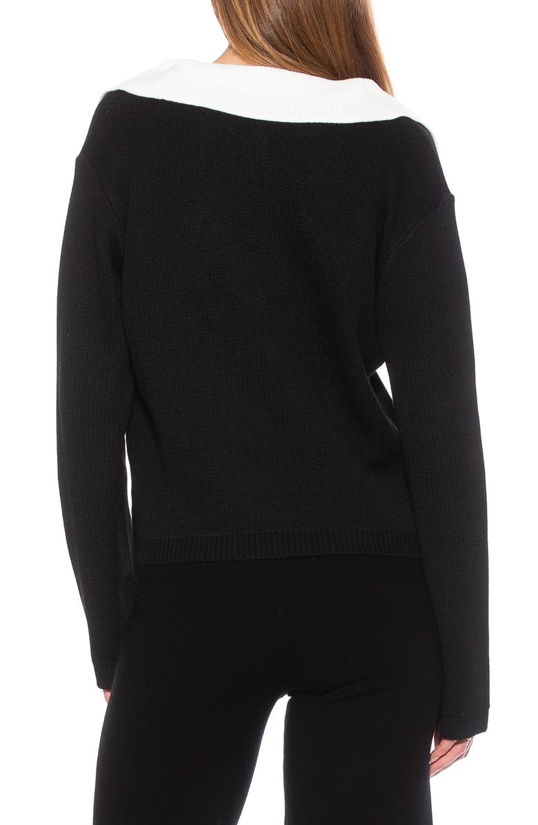 Alexia Admor Evander Retro Collared Sweater, Alternate, color, Black