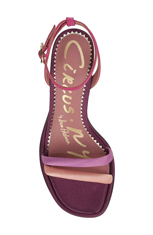 Circus Ny By Sam Edelman Holly Ankle Strap Sandal In Blush/lilac/punchy Pink