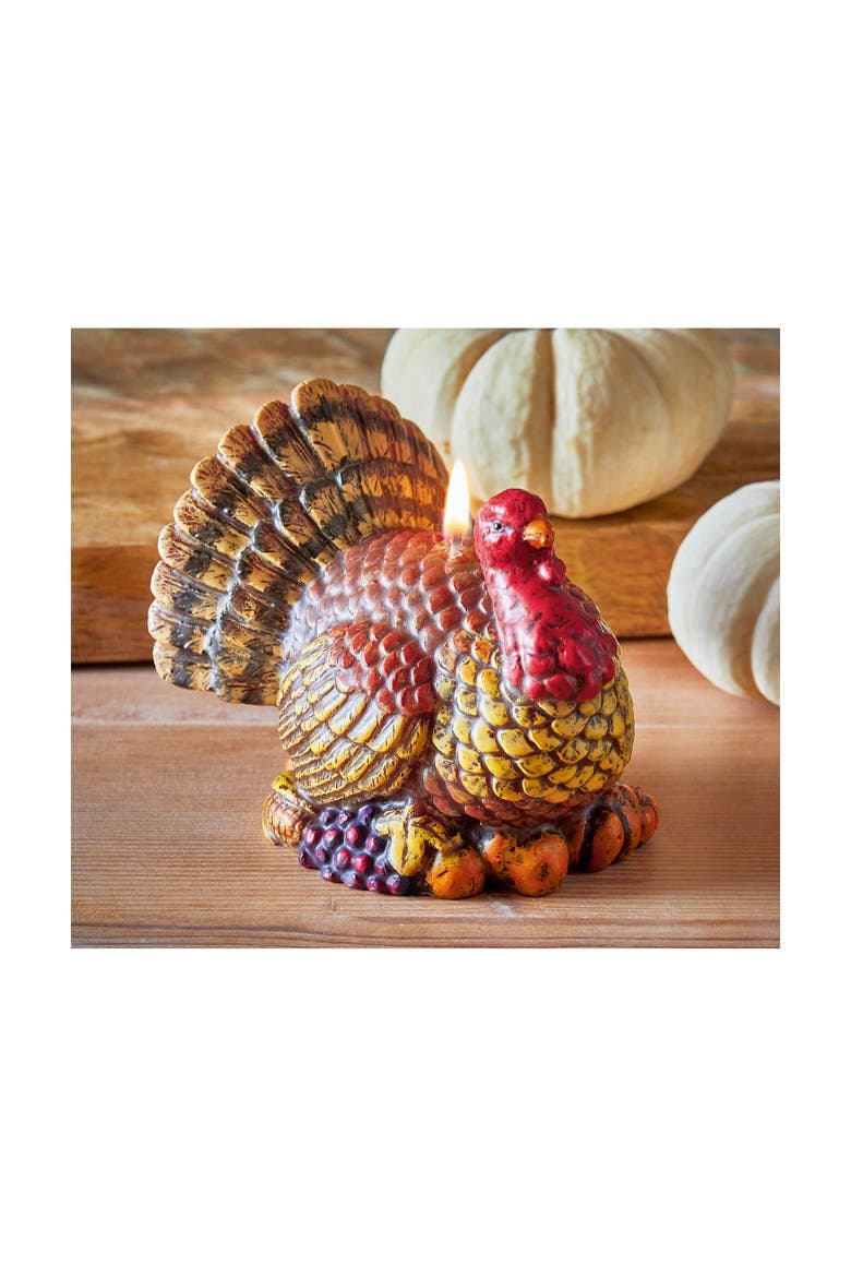Tucker Turkey Candle - Thanksgiving Decor Multicolor Wax, Alternate, color, Brown