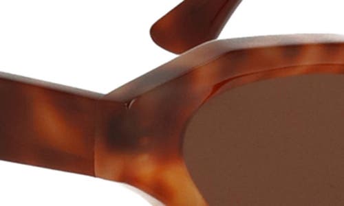Cult Gaia X Thierry Lasry Jaya 49mm Cat Eye Sunglasses In Brown