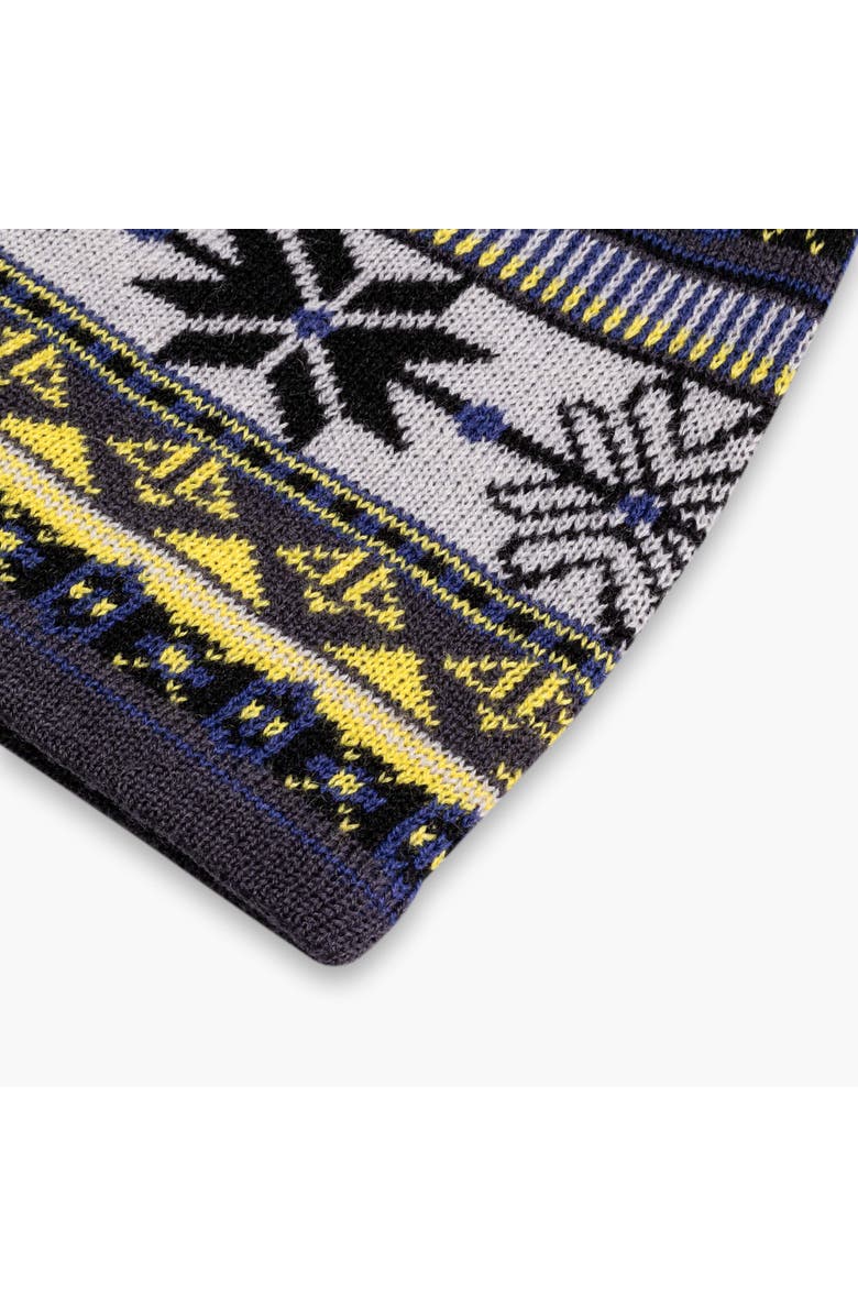 Turtle Fur Lars Merino Wool Beanie, Alternate, color, Carbon