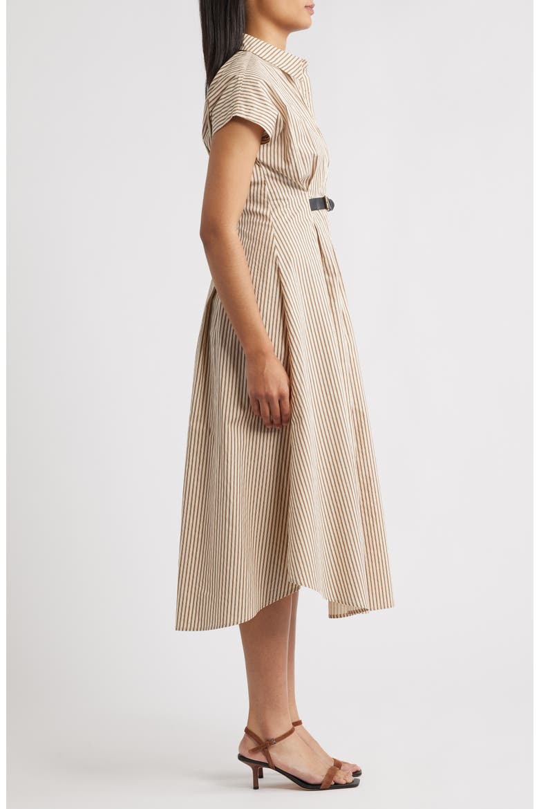 Stripe Belted Detail Cotton Shirtdress, Alternate, color, BROWN