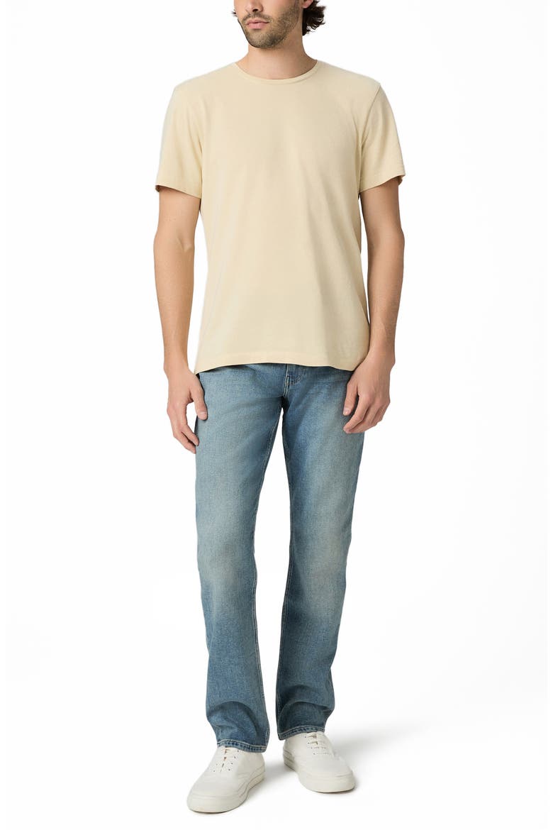 Sorden Pima Cotton Crewneck T-Shirt, Alternate, color, HAZEN