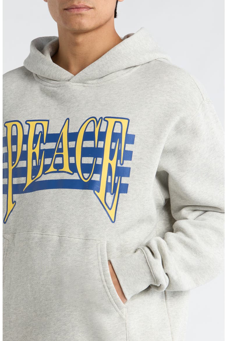 Seventies Logo Cotton Graphic Hoodie, Alternate, color, ASH