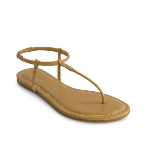 BERNARDO FOOTWEAR BERNARDO FOOTWEAR HERCU T-STRAP SANDAL 