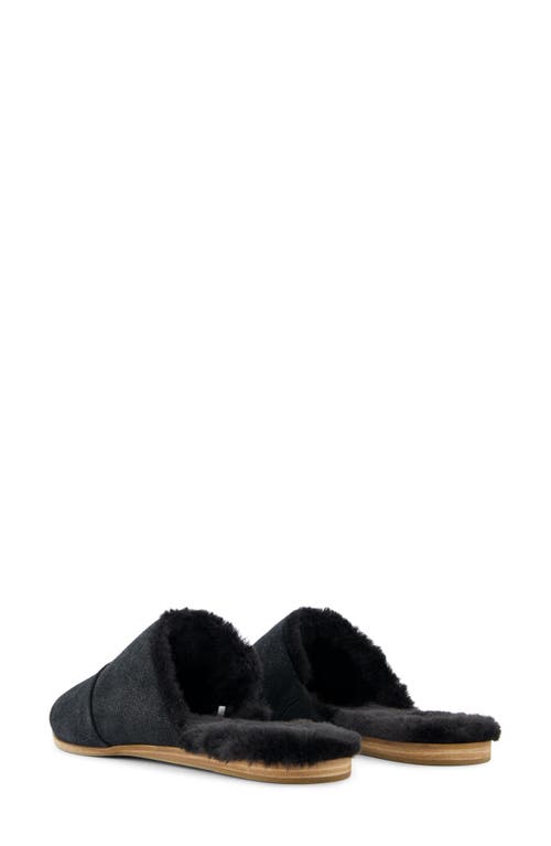 Toms Jade Mule