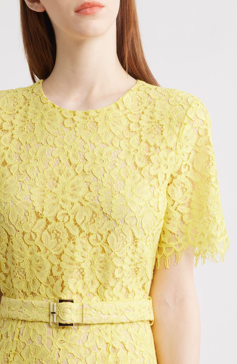 Elie Tahari The Lex Sunshine Lace Dress, Alternate, color, 