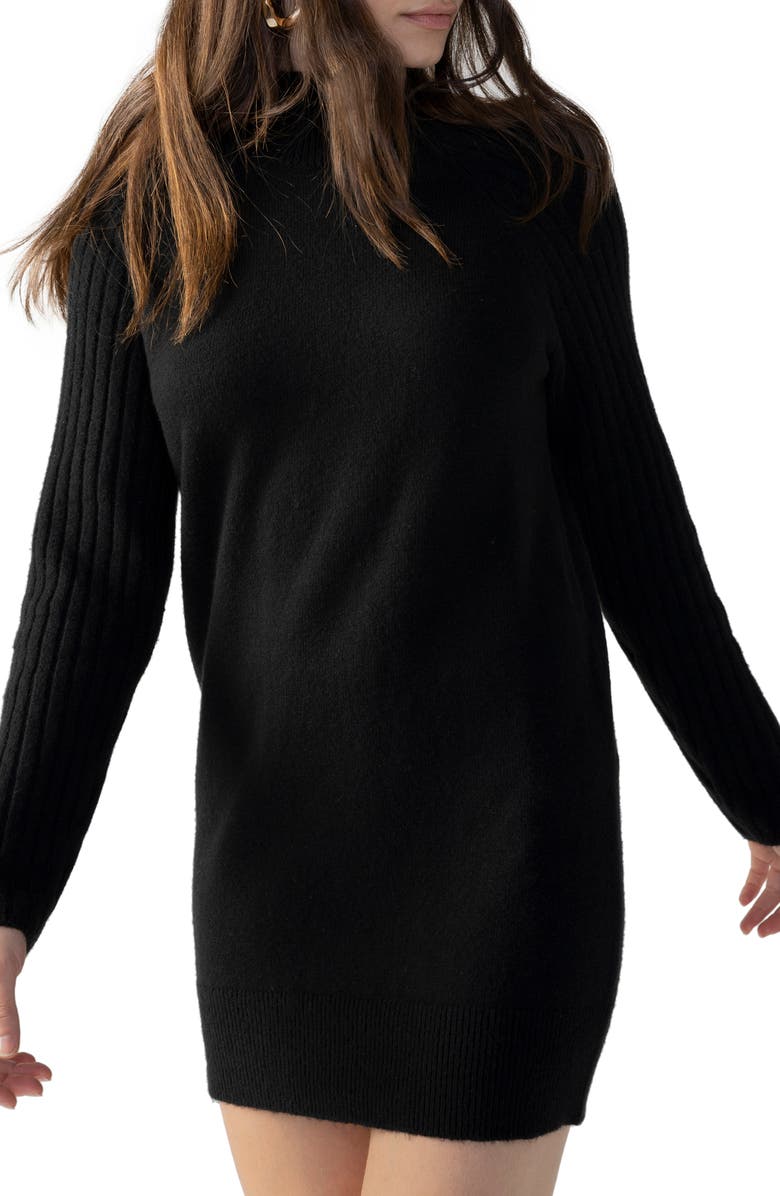 Sanctuary Day to Day Turtleneck Sweater Dress, Alternate, color,