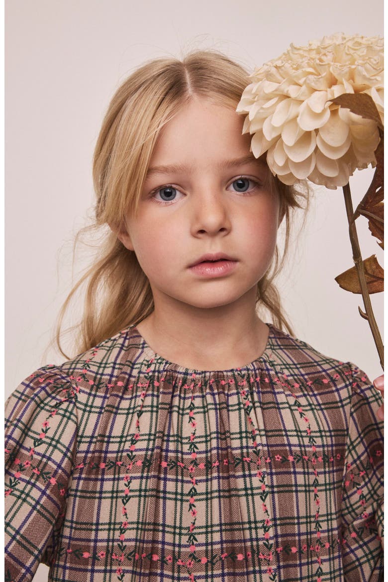 Kids' Check Skater Dress, Alternate, color, BROWN