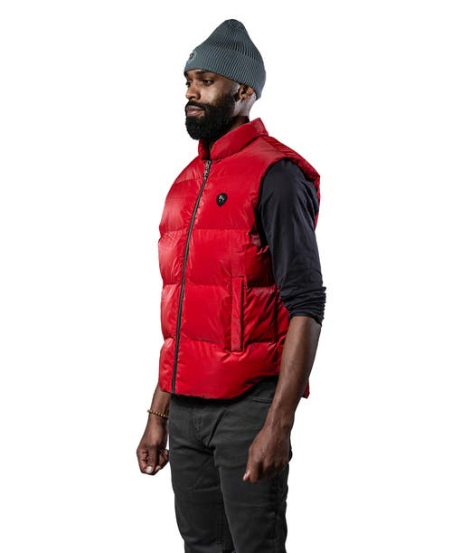Woodpecker Unisex Vest In Red