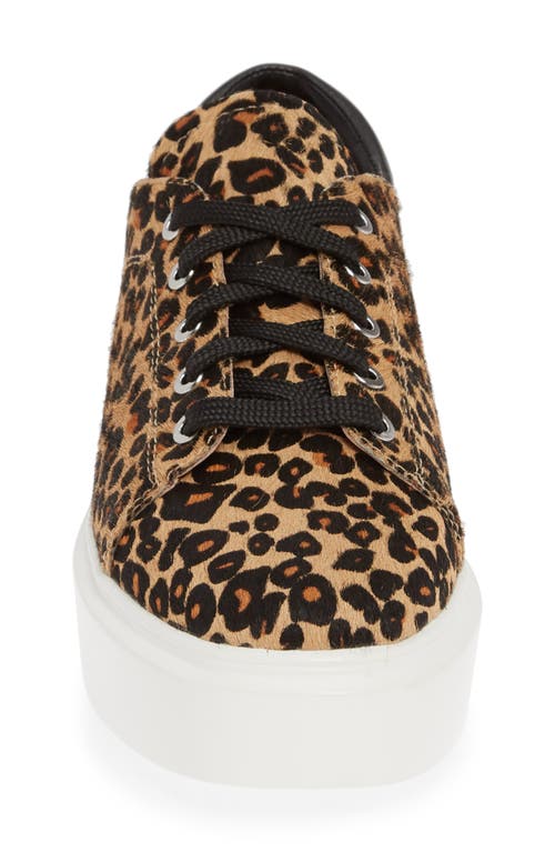 Shop Linea Paolo Kendra Platform Sneaker In Leopard Print Calf Hair